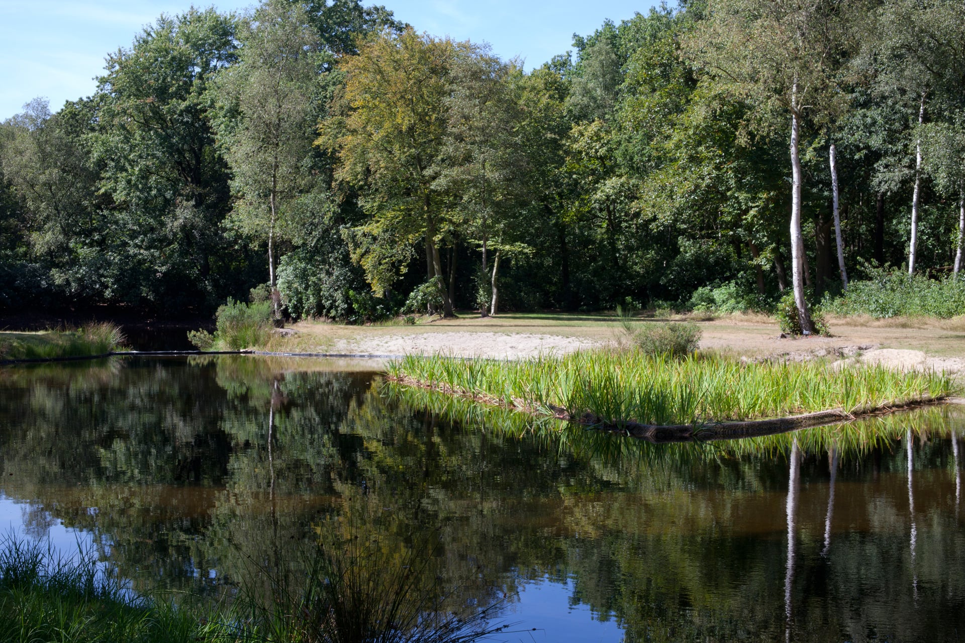 Domein / Omgeving - Kasteel Boterberg