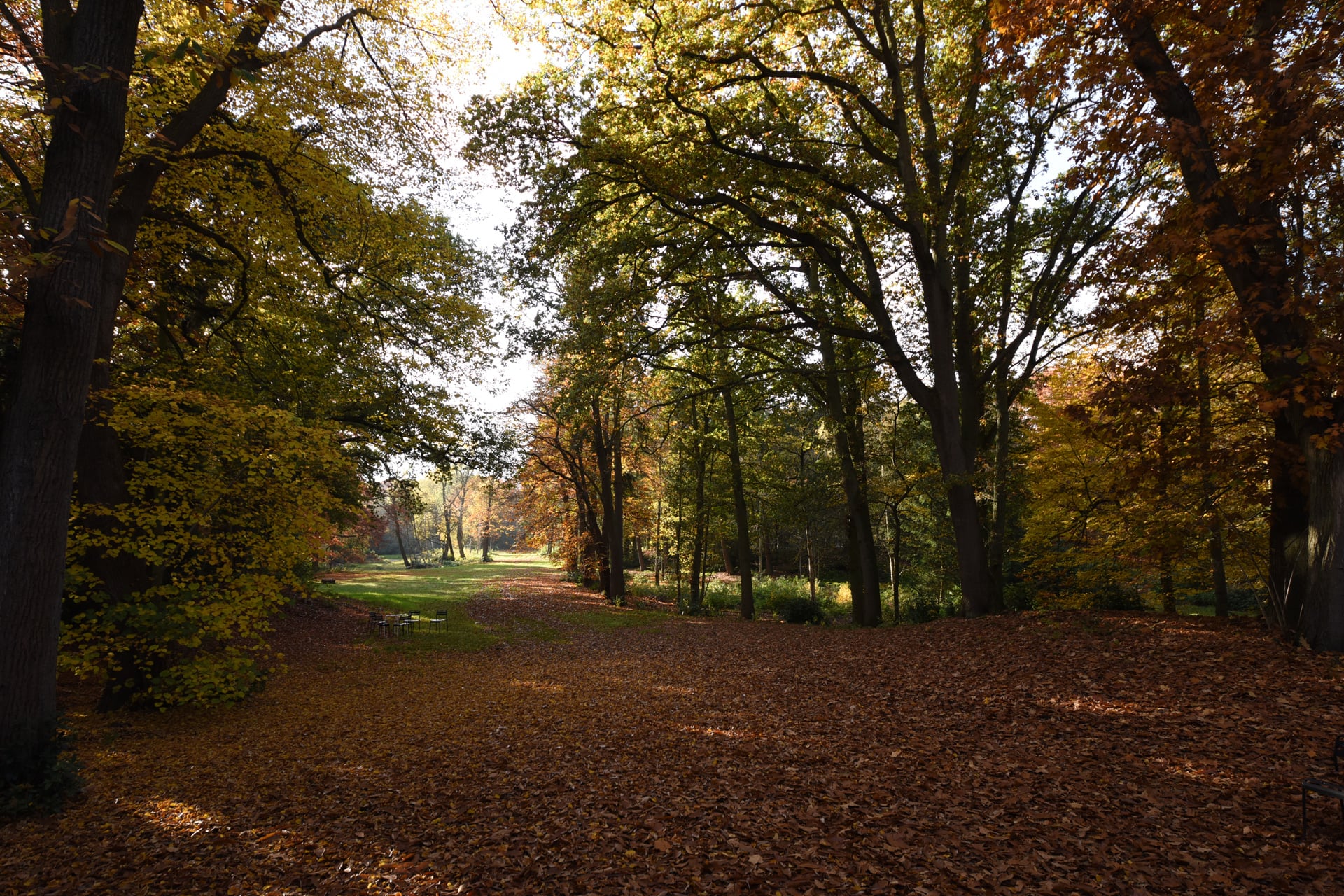 Domein / Omgeving - Kasteel Boterberg