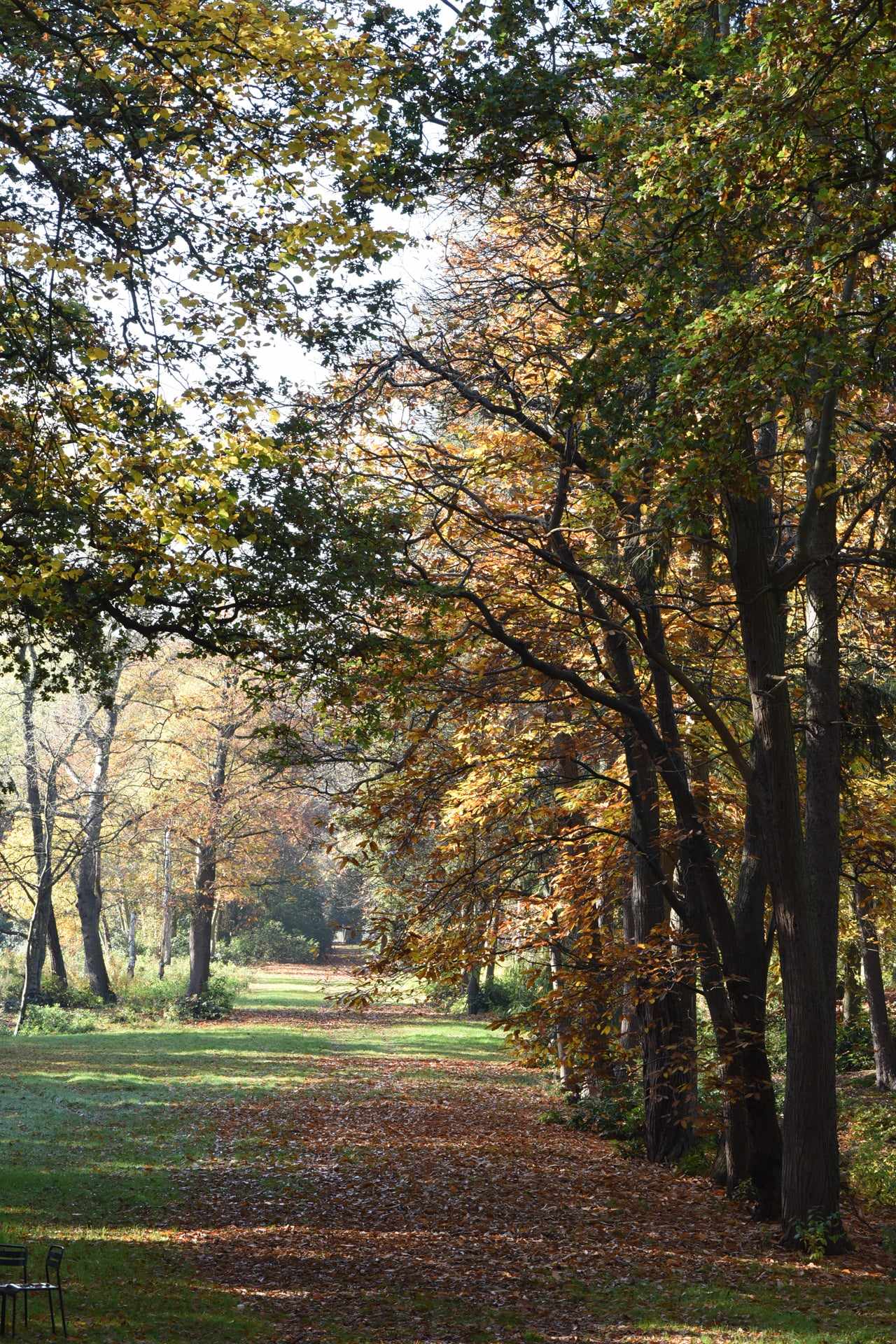 Domein / Omgeving - Kasteel Boterberg